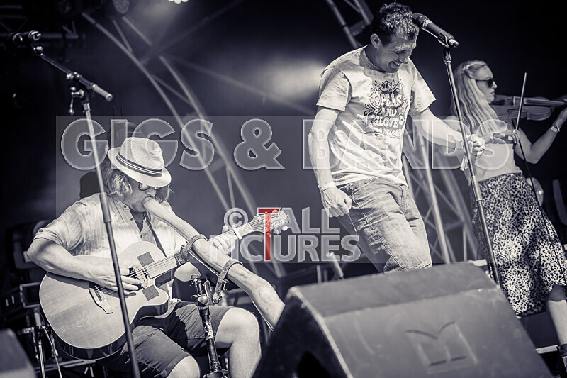 Buffalo Hudleston-758 - BUFFALO HUDLESTON