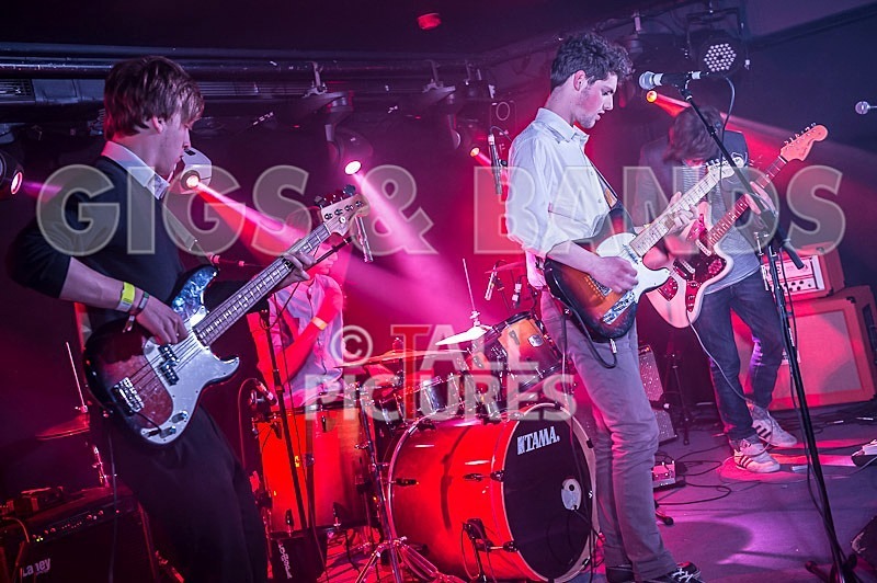 China Aster-57 - CHINA ASTER