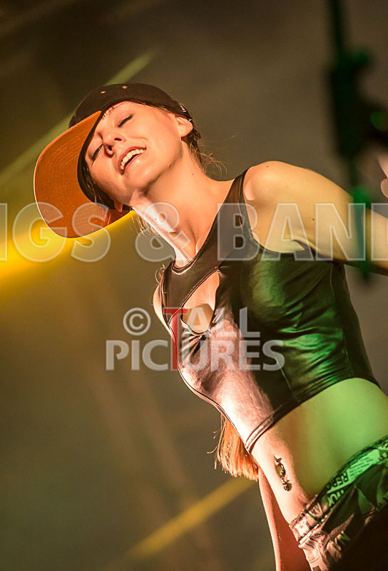 FireFarm-67 - FIREFARM