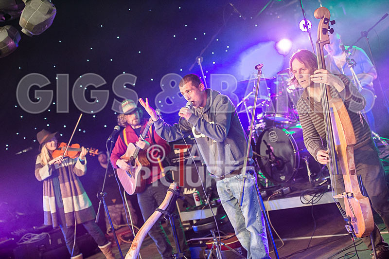 Buffalo Huddleston-303 - BUFFALO HUDDLESTON