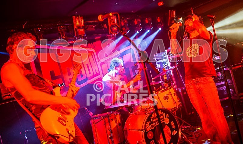 Benny the Moth-29 - BENNY THE MOTH