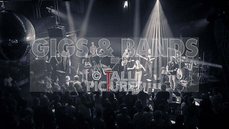 Sons of the Desert-376 - SONS OF THE DESERT