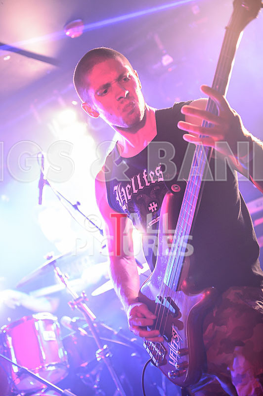 Masticated-18 - MASTICATED