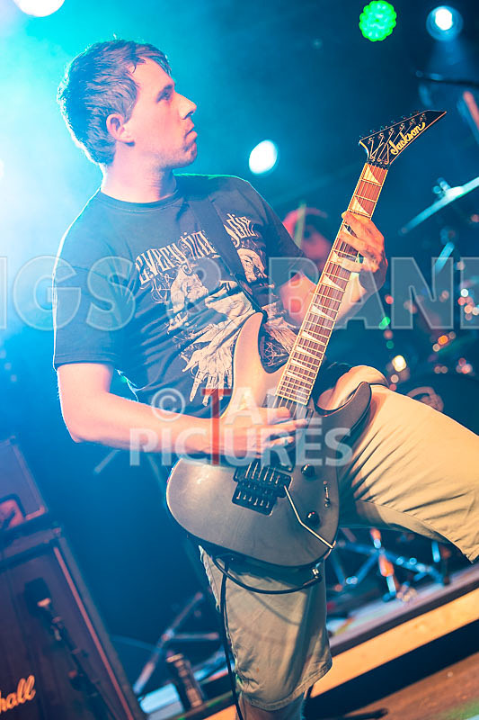 Granite Wolf-35 - GRANITE WOLF