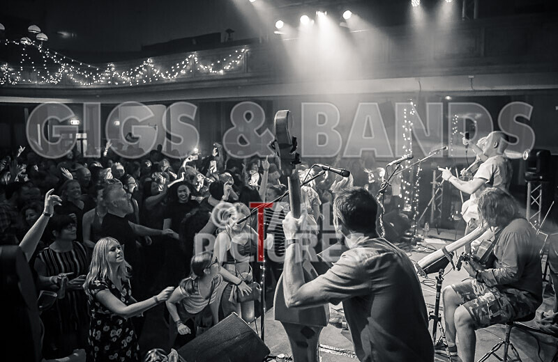 Buffalo Huddleston-541 - BUFFALO HUDDLESTON