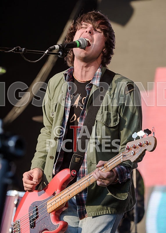 The Cribs-5 - THE CRIBS