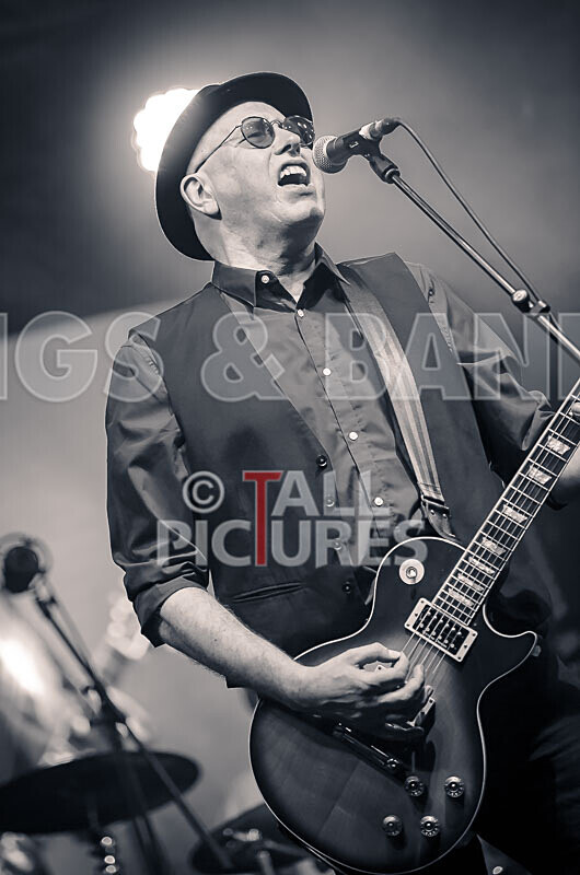 Ruts DC-44 - RUTS DC