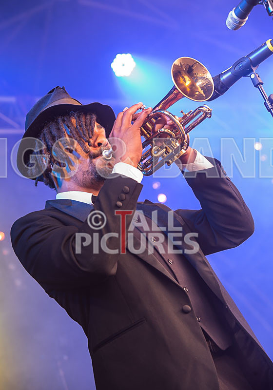 The Recks-397 - THE RECKS