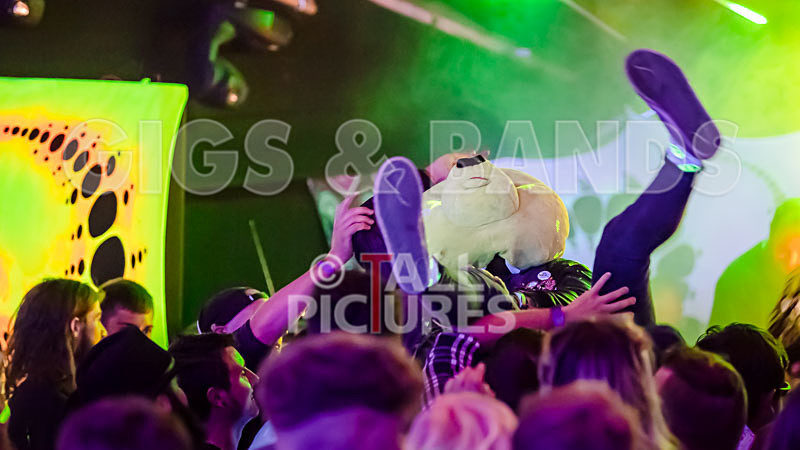 Mechanical Lobster-41 - MECHANICAL LOBSTER