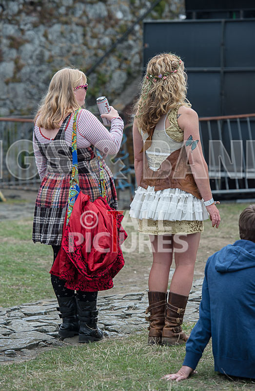 Vale Earth Fair_Atmosphere_2014-9 - VALE EARTH FAIR 2014 - THE ATMOSPHERE