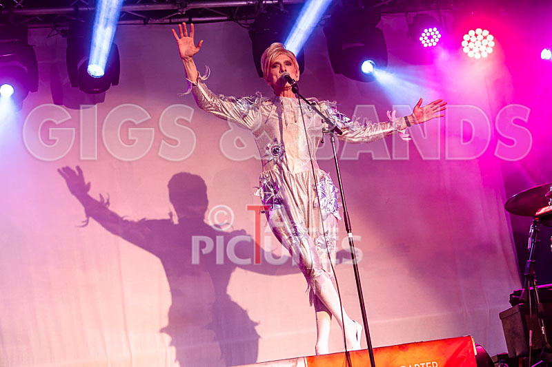 The Bowie Experience-24 - THE BOWIE EXPERIENCE