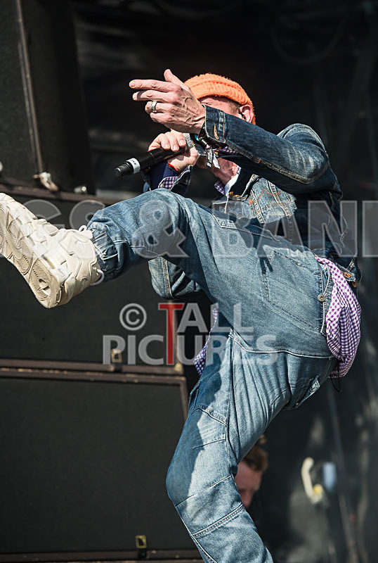 Stereo MCs-8 - STEREO MC's