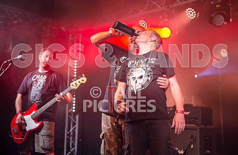 Spunge-164 - [spunge]