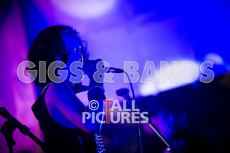 Vale-Earth-109 - VALE EARTH FAIR 2008