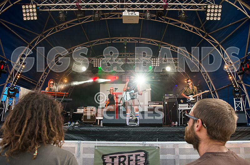 Tree House Fire-28 - TREE HOUSE FIRE