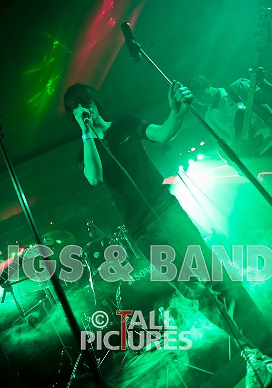 Feedback-51 - FEEDBACK at RoA-7