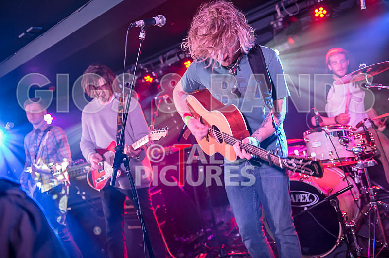 Tadhg Daly-12 - TADHG DALY