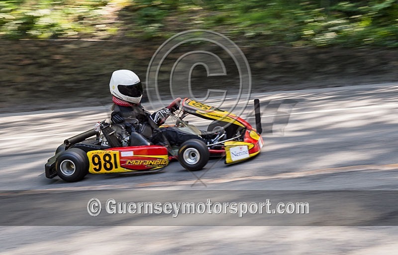 Hill Climb Kart_06-05-2013-9 - KARTS_06-05-2013