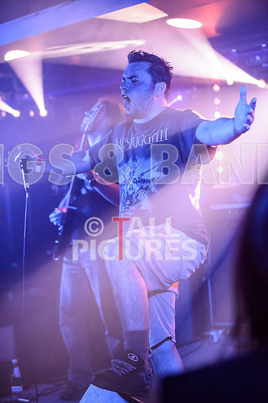 Masticated-8 - MASTICATED