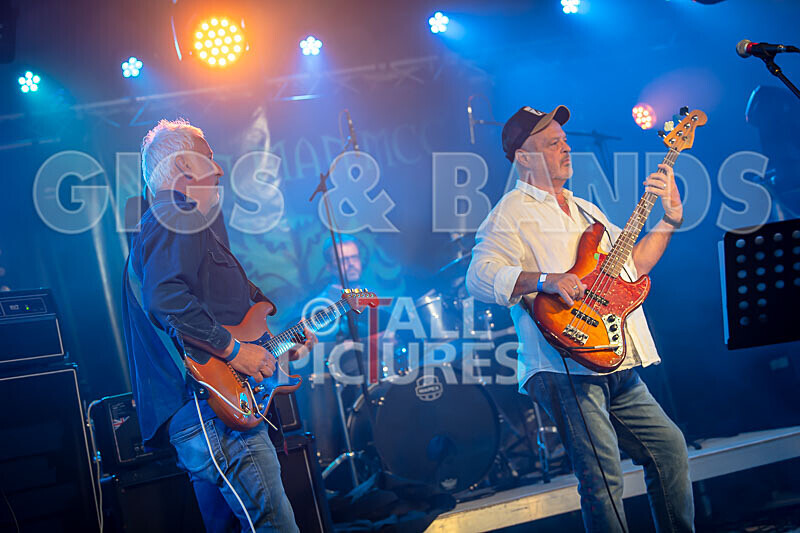 The Vinyls-8 - THE VINYLS