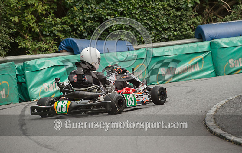 Petit Bot Hillclimb_2015_KART-38 - PETIT BOT HILL CLIMB 2015 - KARTS