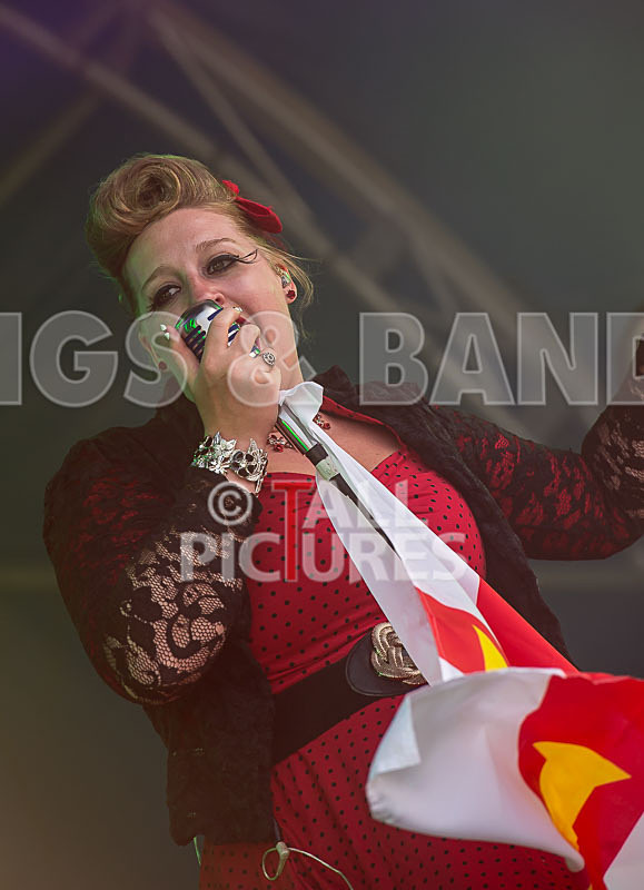 Static Alice-342 - STATIC ALICE