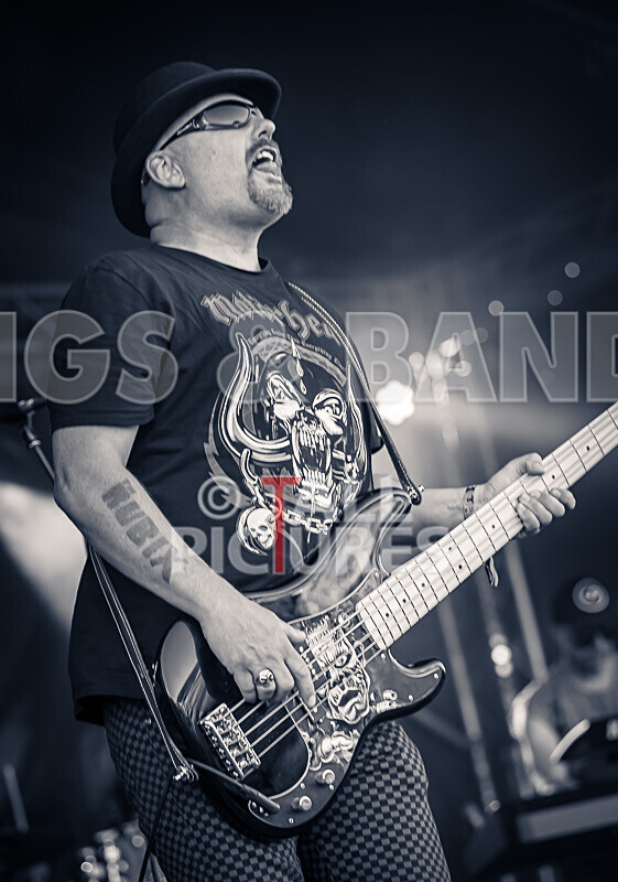 The Rubix-169 - THE RUBIX