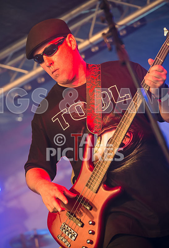 Stalk the Lantern-16 - STALK THE LANTERN