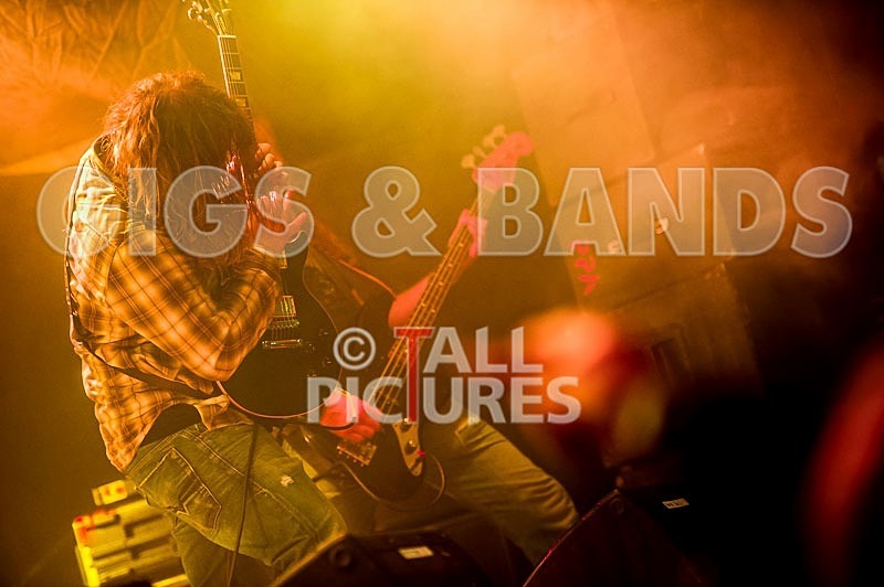 Viking Skull-30 - VIKING SKULL