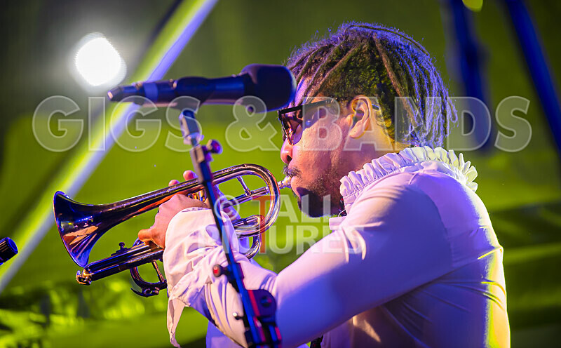 The Recks-958 - THE RECKS