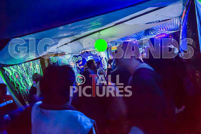 Vale Earth Fair 2018_SCENE-48 - VALE EARTH FAIR 2018_THE SCENE