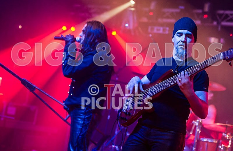 Gallus Cooper-18 - GALLUS COOPER