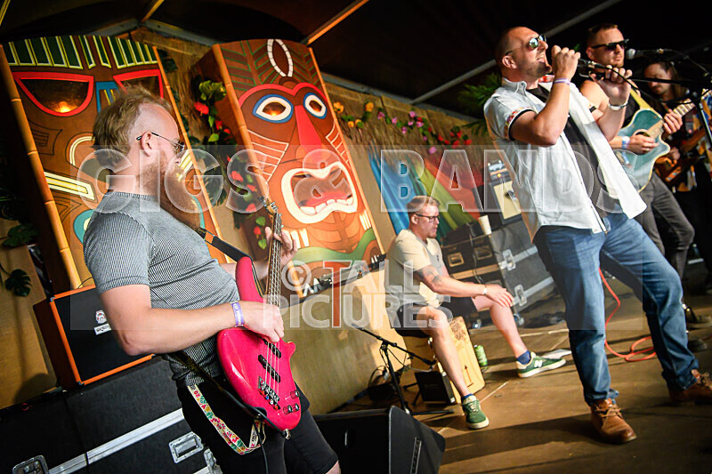 Arctic Donkeys-12 - ARCTIC DONKEYS