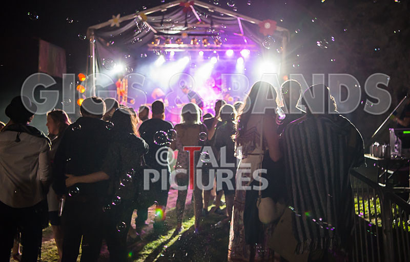 Vale Earth Fair 2017_SCENE-90 - VALE EARTH FAIR 2017_THE SCENE