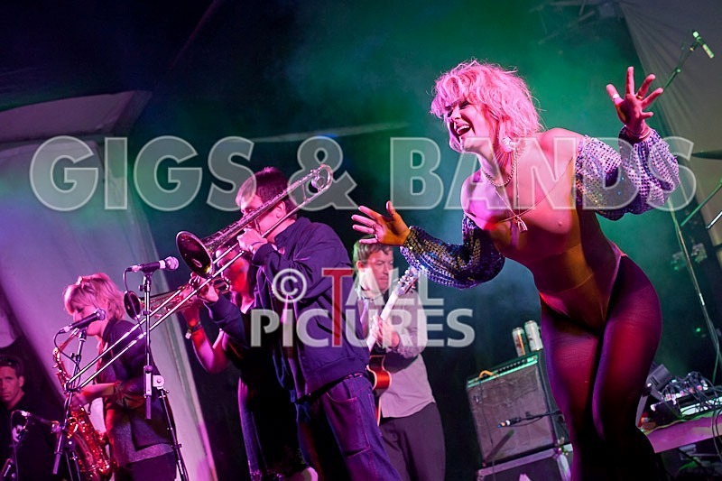 Royal Gala-2 - ROYAL GALA