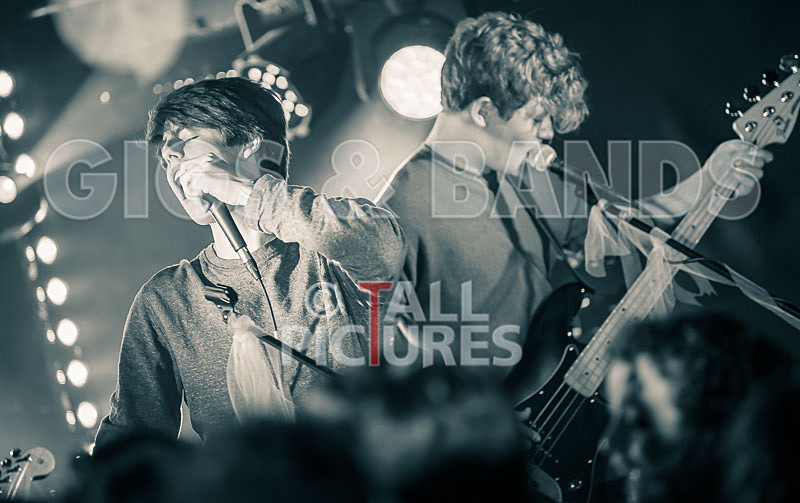 Isle Stone-5 - ISLE STONE