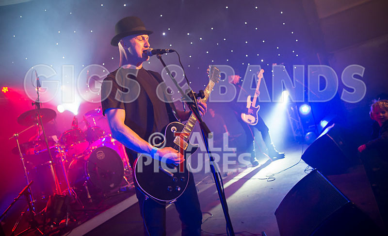 Peppered Ant Legs-157 - PEPPERED ANT LEGS