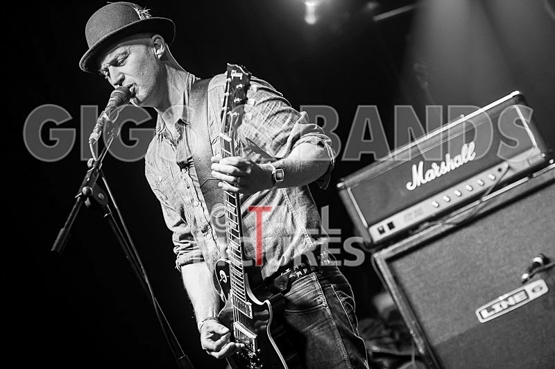 Peppered Ant Legs_Chaos8-9 - PEPPERED ANT LEGS