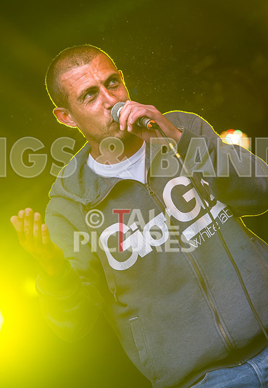 Buffalo Huddleston-396 - BUFFALO HUDDLESTON