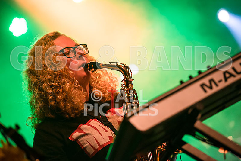 Honest Crooks-198 - HONEST CROOKS