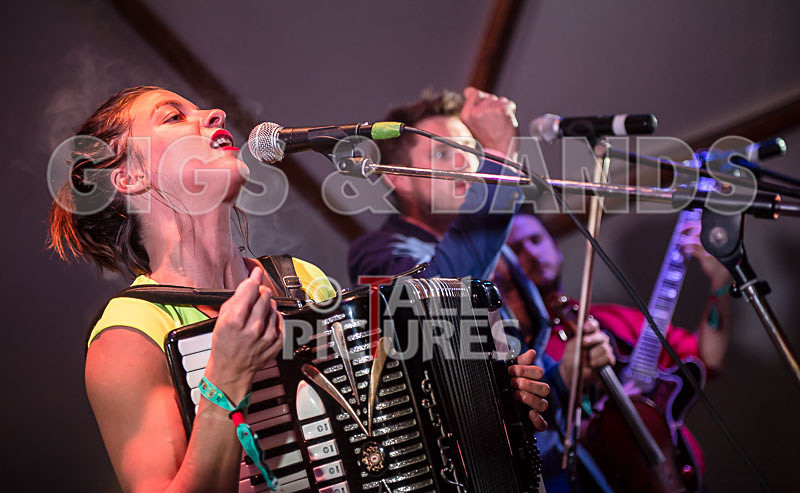 Molotov Jukebox-26 - MOLOTOV JUKEBOX