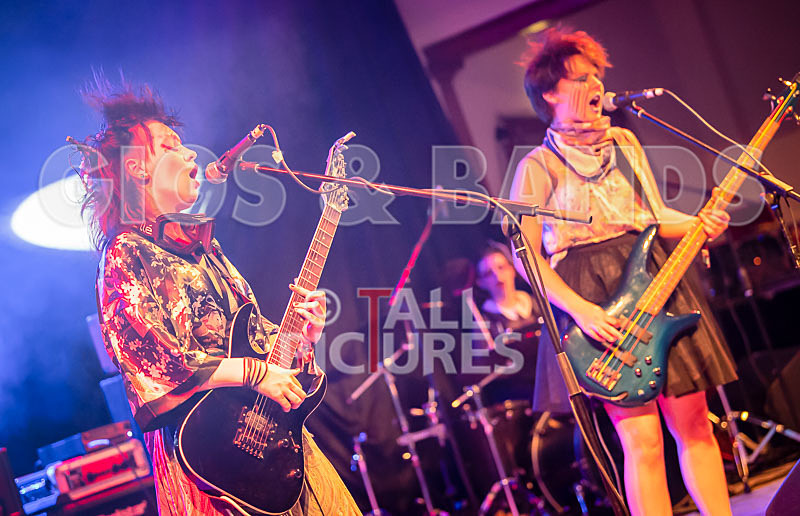 track not found-511 - track not found