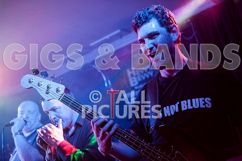 Hevvy Bevvy Blues Band-17 - HEVVY BEVVY BLUES BAND