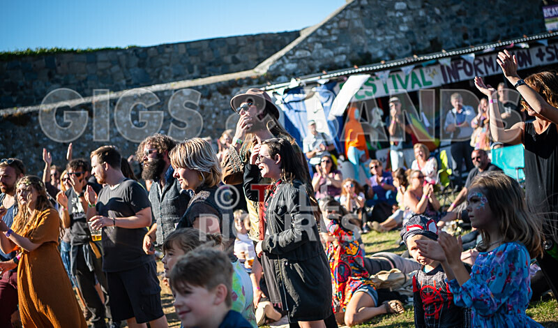 Vale Earth Fair 2020_THE SCENE-102 - VALE EARTH FAIR 2020_THE SCENE