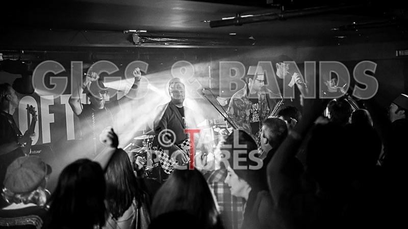 Sons of the Desert-174 - SONS OF THE DESERT