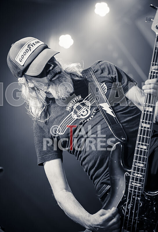 The Electric Shakes-186 - THE ELECTRIC SHAKES