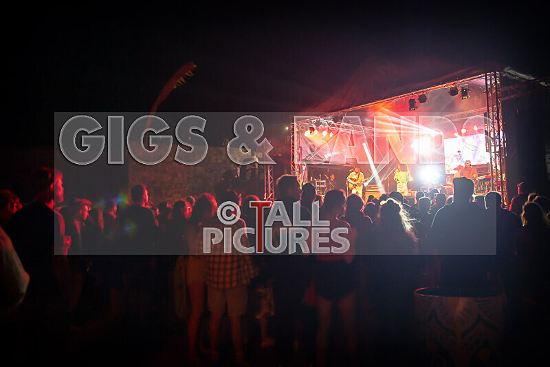 Vale Earth Fair 2022_The Scene-45 - VALE EARTH FAIR 2022_THE SCENE