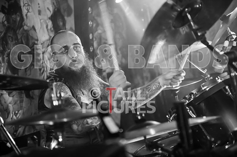 Brutus Stonefist-311 - BRUTUS STONEFIST