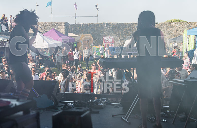 Tree House Fire-3 - TREE HOUSE FIRE