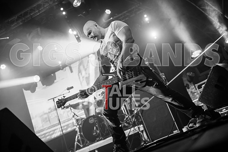 Freestylers-100 - FREESTYLERS